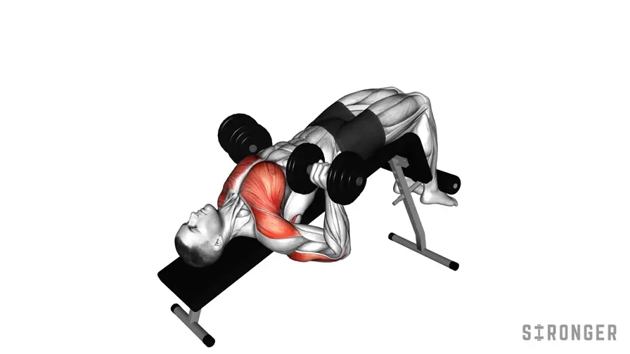 Decline Dumbbell Press demonstration