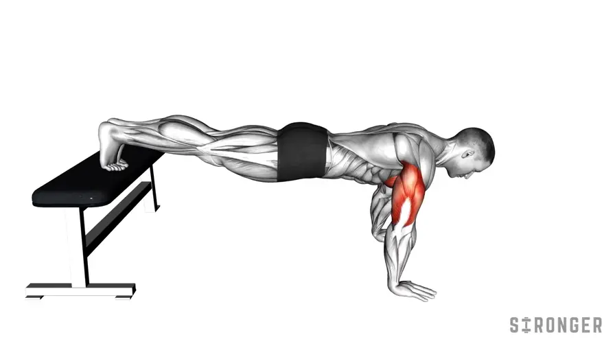 Decline Push Up demonstration