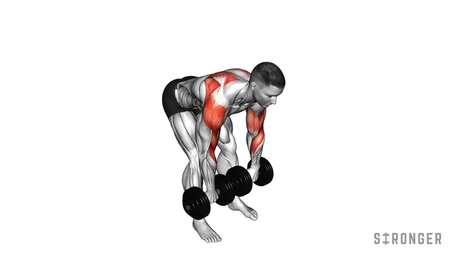 Dumbbell Face Pull demonstration