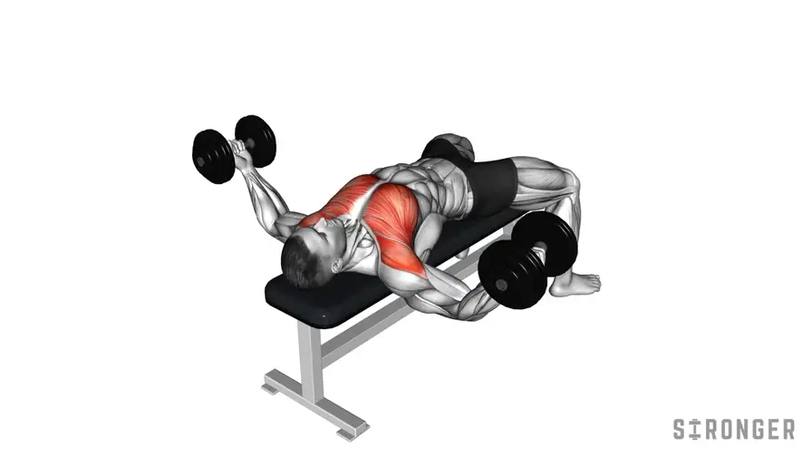 Dumbbell Fly demonstration