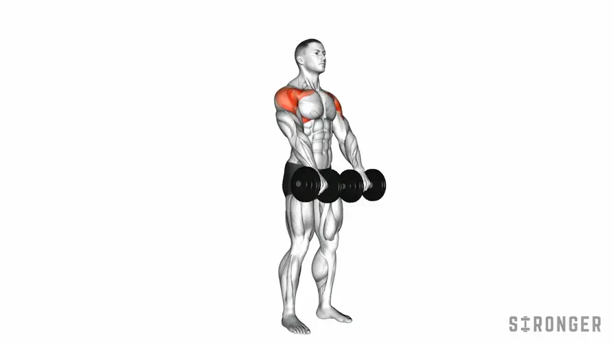Dumbbell Front Raise demonstration