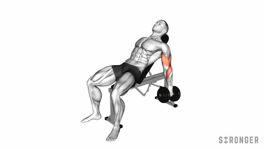Dumbbell Incline Hammer Curl demonstration
