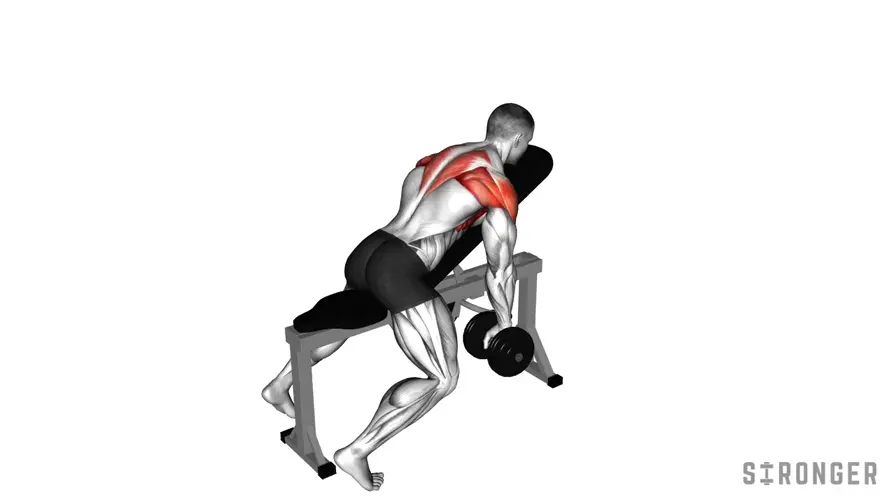 Dumbbell Incline Y Raise demonstration