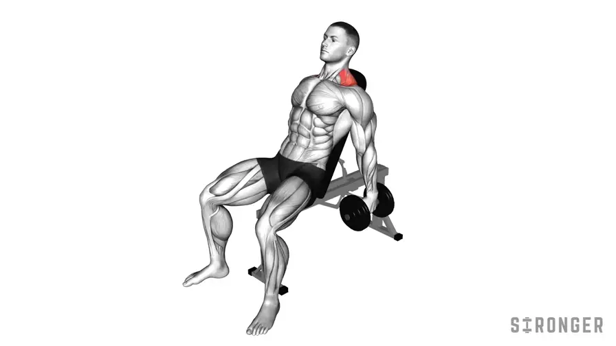 Dumbbell Kelso Shrug demonstration