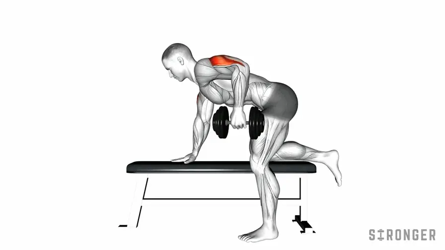 Dumbbell Kickback demonstration