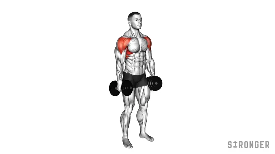 Dumbbell Lateral Raise demonstration