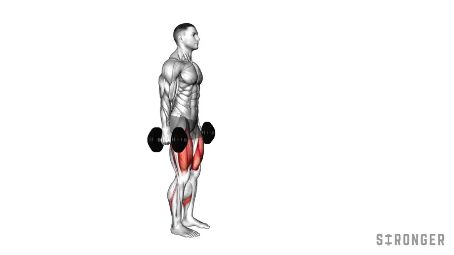 Dumbbell Lunge demonstration