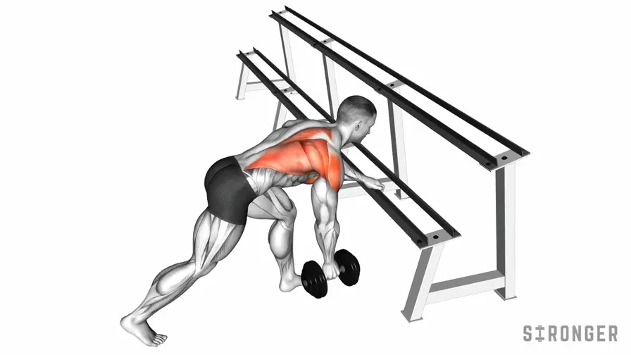 Dumbbell One Arm Row demonstration