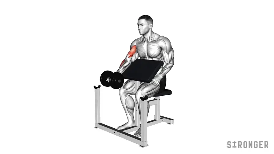 Dumbbell Preacher Curl demonstration