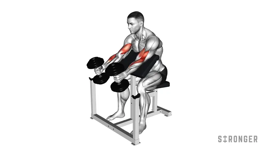 Dumbbell Preacher Hammer Curl demonstration