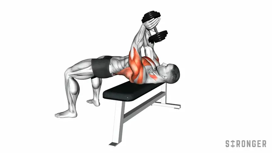 Dumbbell Pullover demonstration