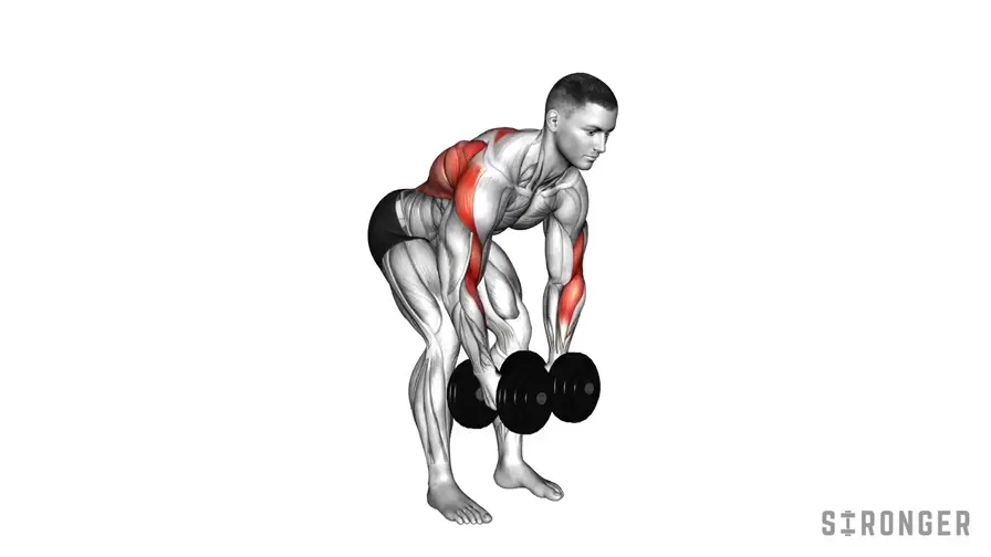Dumbbell Rear Delt Fly demonstration
