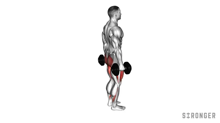 Dumbbell Reverse Lunge demonstration