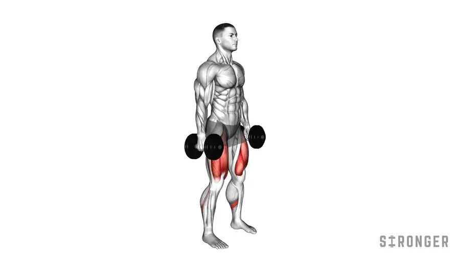 Dumbbell Squat demonstration
