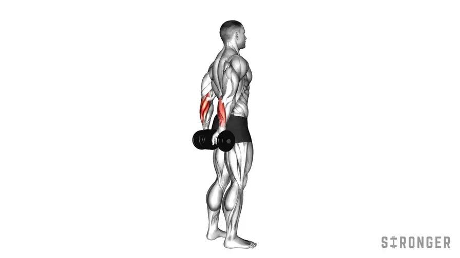 Dumbbell Standing Back Wrist Curl demonstration