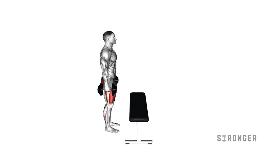 Dumbbell Step Up demonstration
