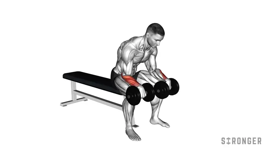 Dumbbell Wrist Extension demonstration