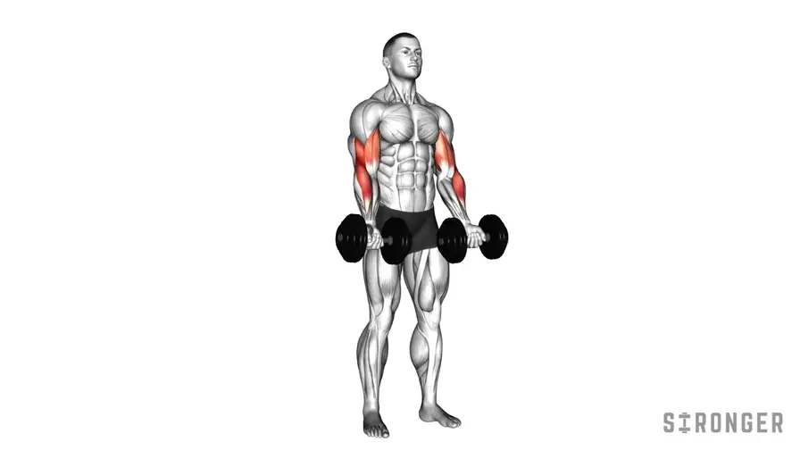 Dumbbell Zottman Curl demonstration