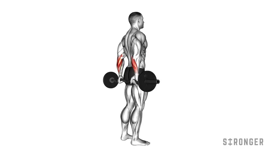 EZ Bar Standing Back Wrist Curl demonstration