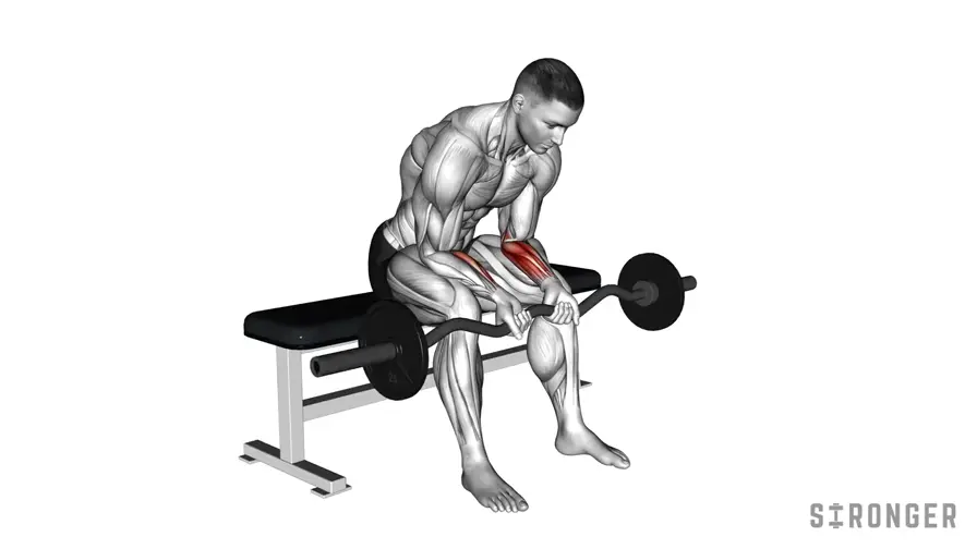 EZ Bar Wrist Curl demonstration