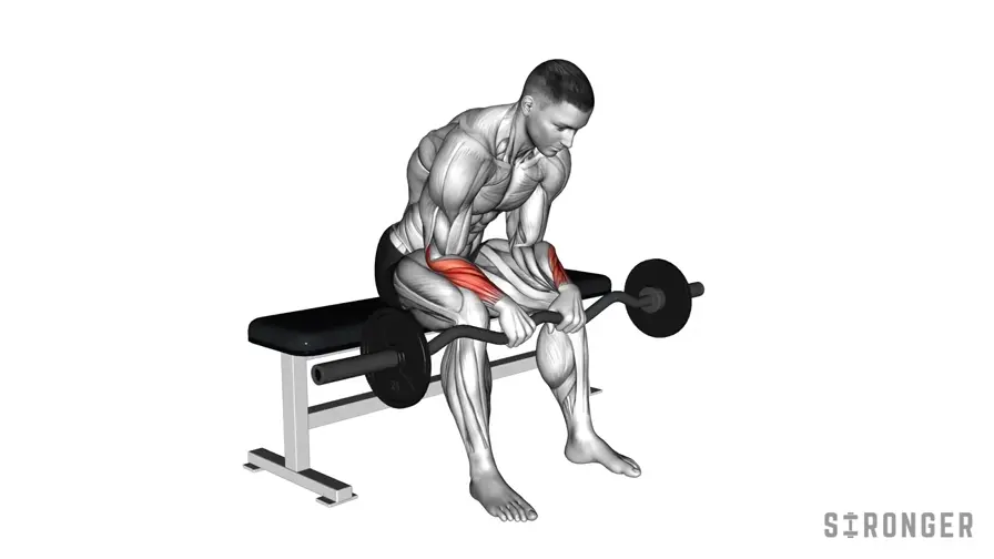 EZ Bar Wrist Extension demonstration