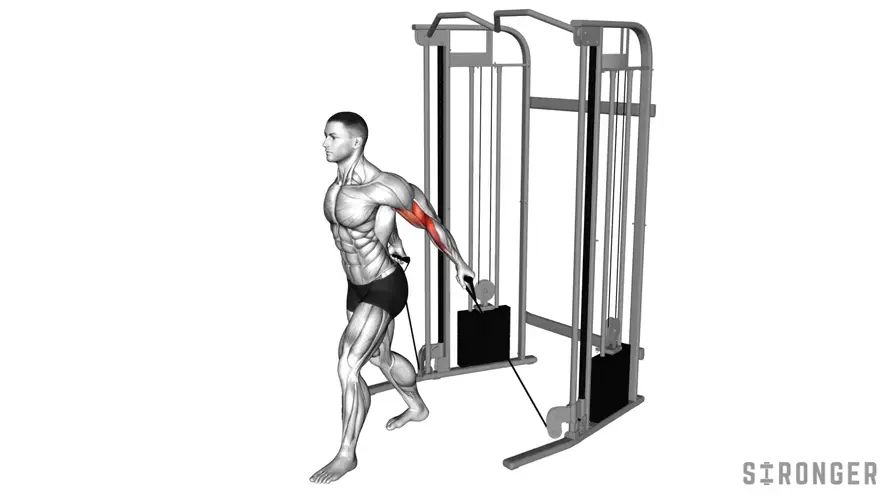 Face Away Cable Curl demonstration