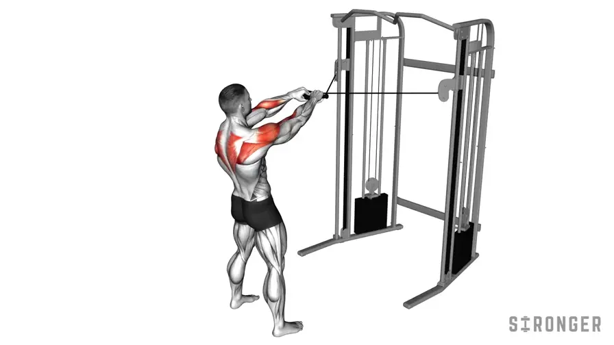 Face Pull demonstration