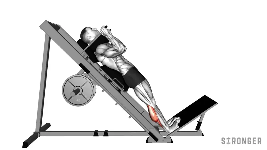 Hack Squat Calf Raise demonstration