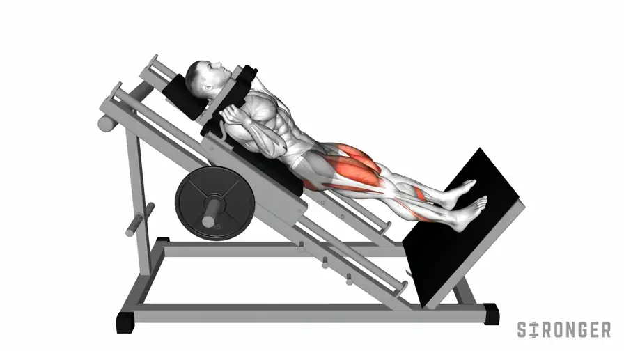 Hack Squat demonstration