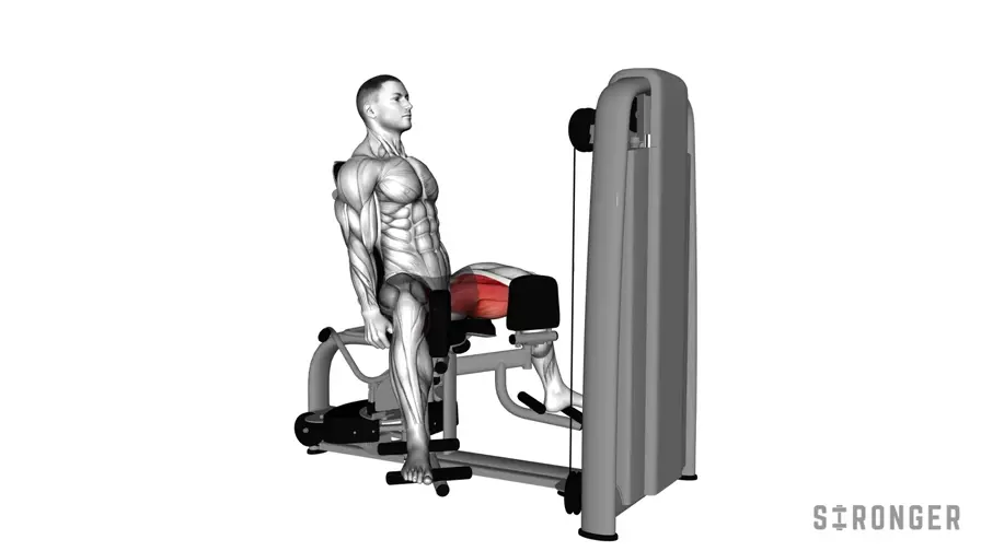Hip Adductor demonstration