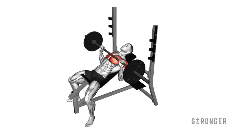 Incline Bench Press demonstration