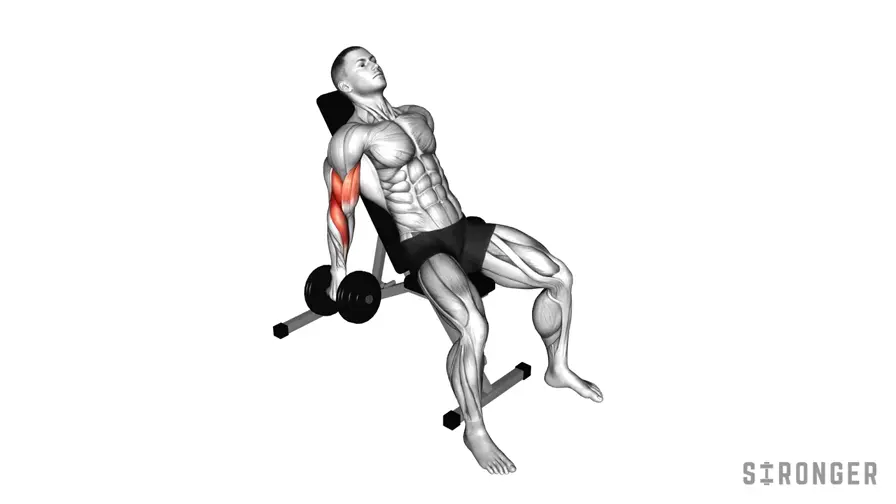 Incline Dumbbell Curl demonstration