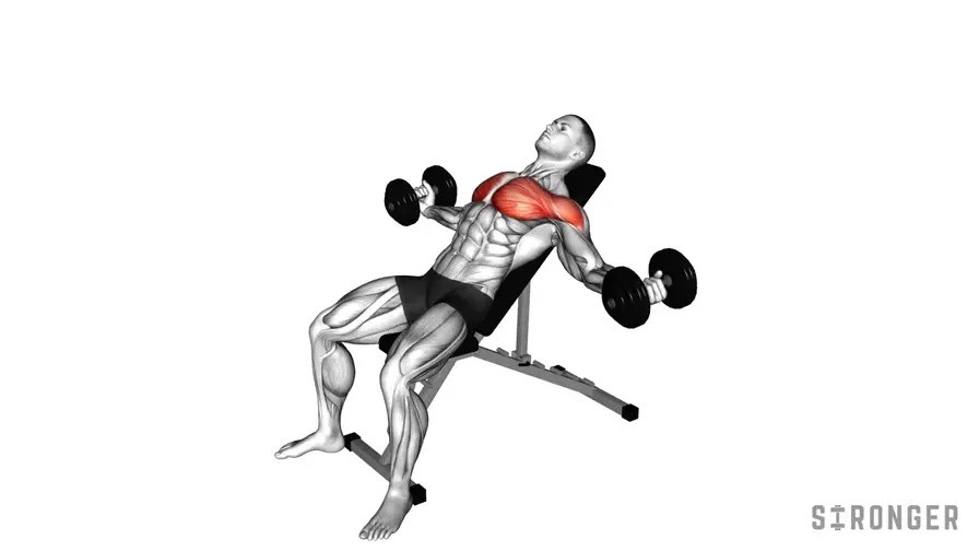 Incline Dumbbell Fly demonstration