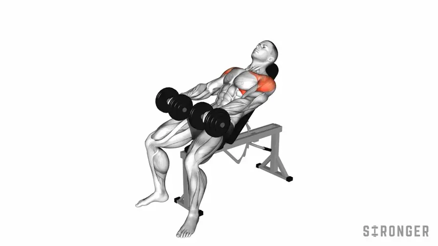 Incline Dumbbell Front Raise demonstration