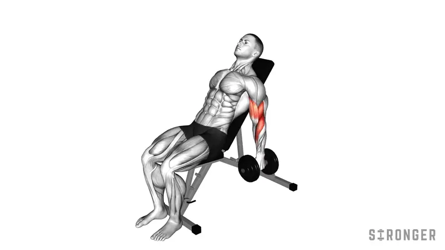 Incline Hammer Curl demonstration