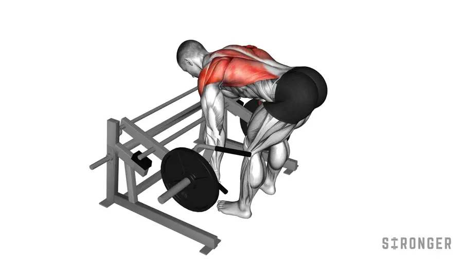 Iso Lateral Row Machine demonstration