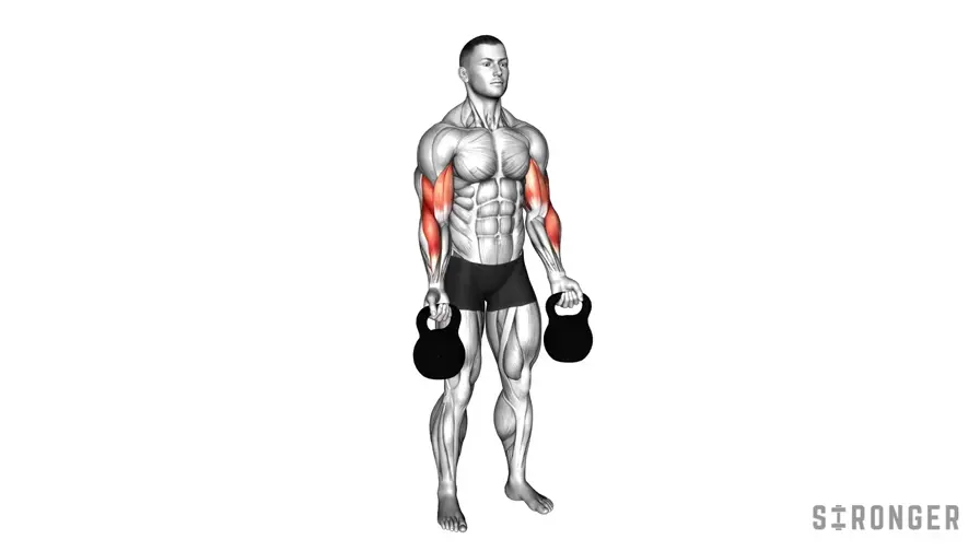 Kettlebell Bicep Curl demonstration