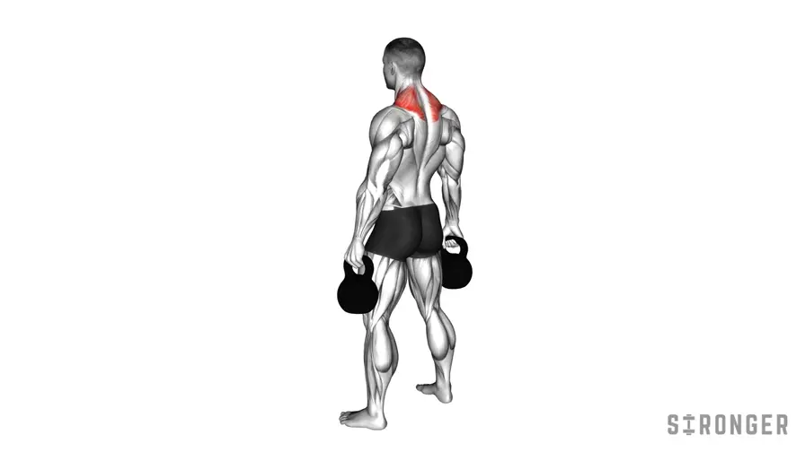 Kettlebell Shrug demonstration