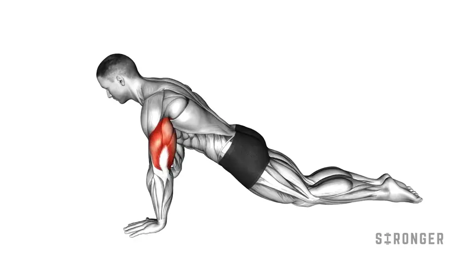 Kneeling Push Up demonstration