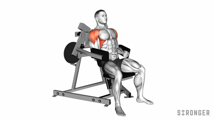 Lateral Raise Machine demonstration