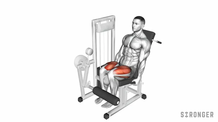Leg Extension demonstration