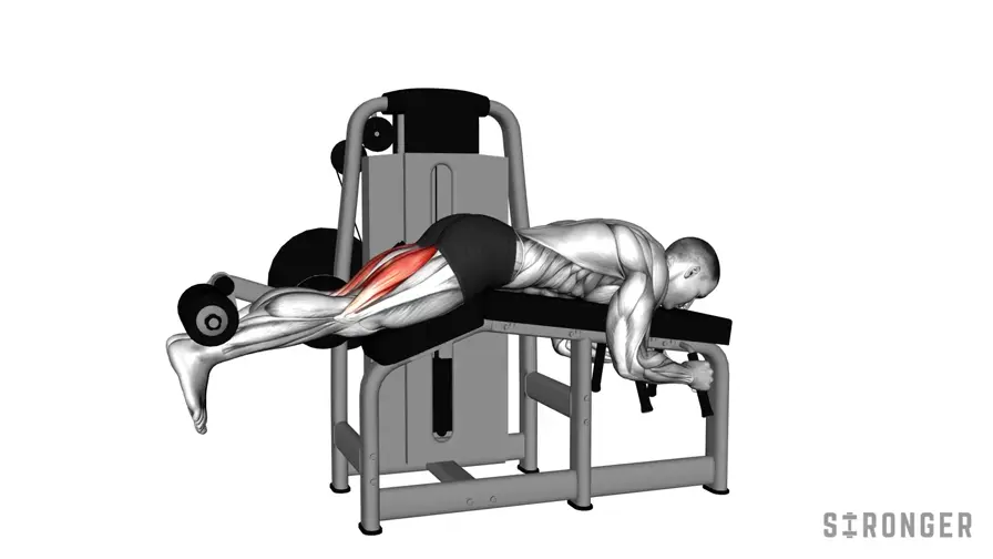Lying Leg Curl demonstration