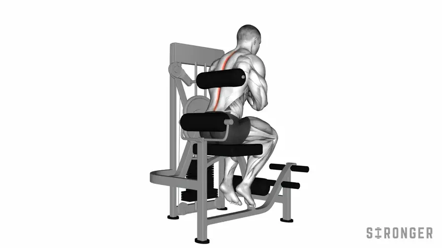 Machine Back Extension demonstration