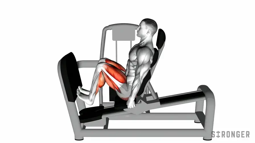 Machine Leg Press Calf Raise demonstration