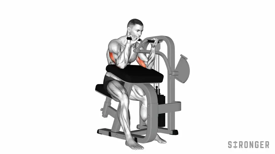 Machine Tricep Extension demonstration