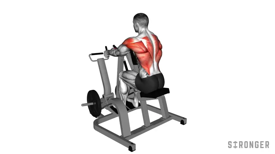 Neutral Grip Seated Machine Row demonstration