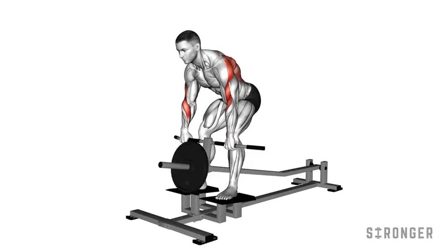 Neutral Grip T-Bar Row demonstration