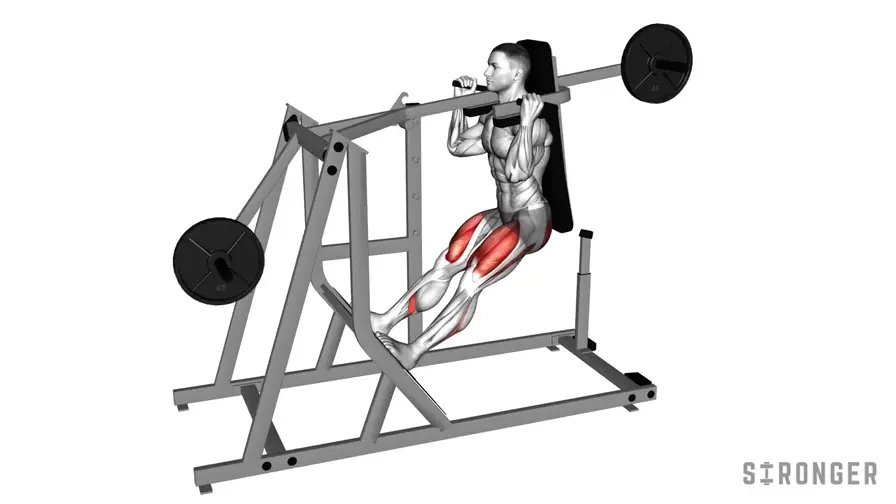 Pendulum Squat demonstration