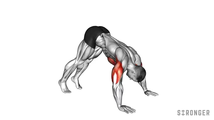 Pike Push Up demonstration