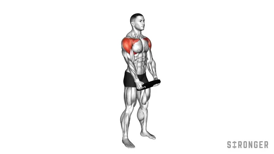 Plate Front Raise demonstration